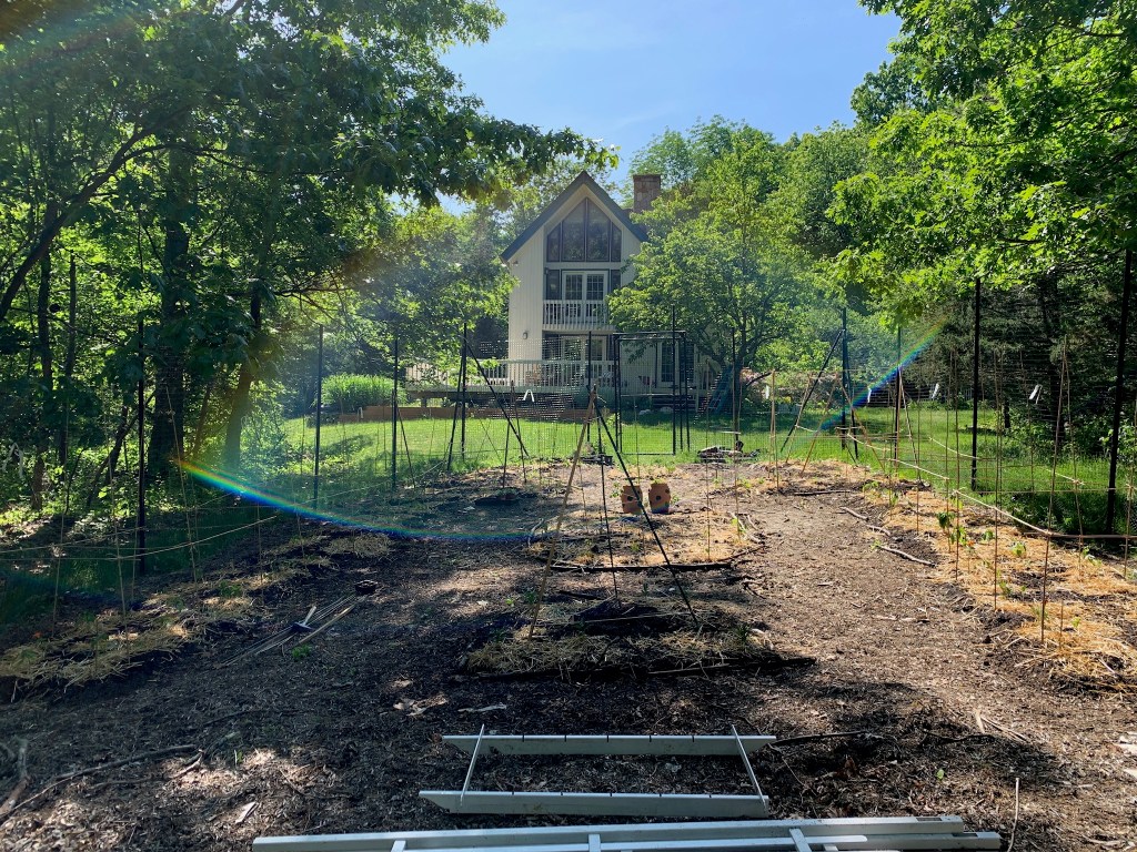 a fenced-in garden with small seedlings and trellises; in the background is a white two-story house, surrounded by trees